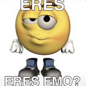 Meet your Posher, Lisseth